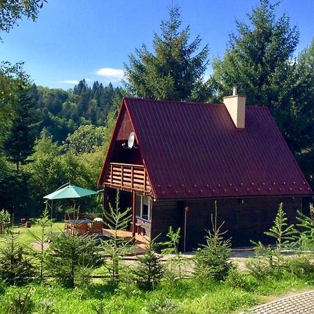 Chatka Pod Swierkami Baligród 外观 照片